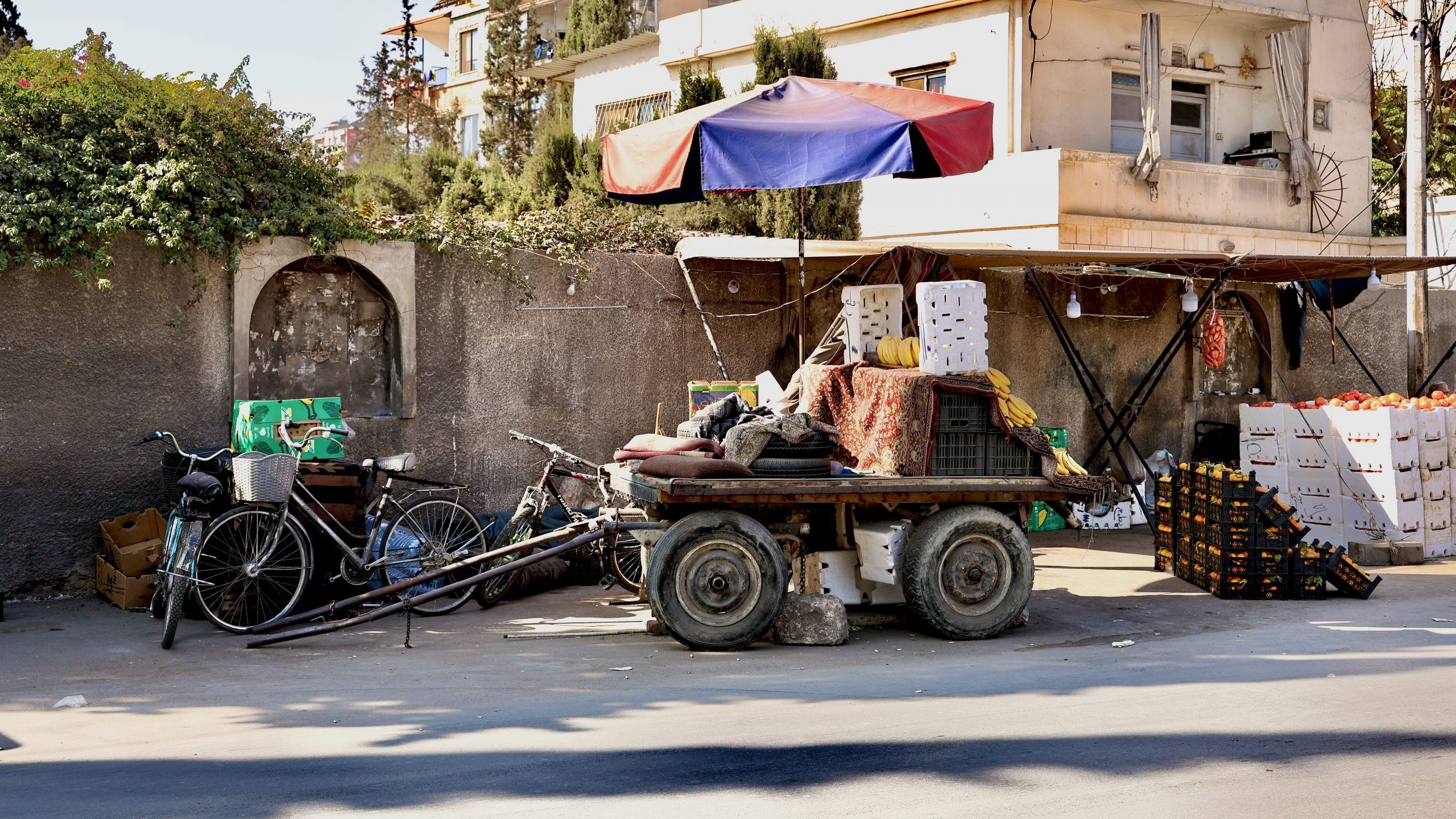 Come an See Reise Libanon/Syrien