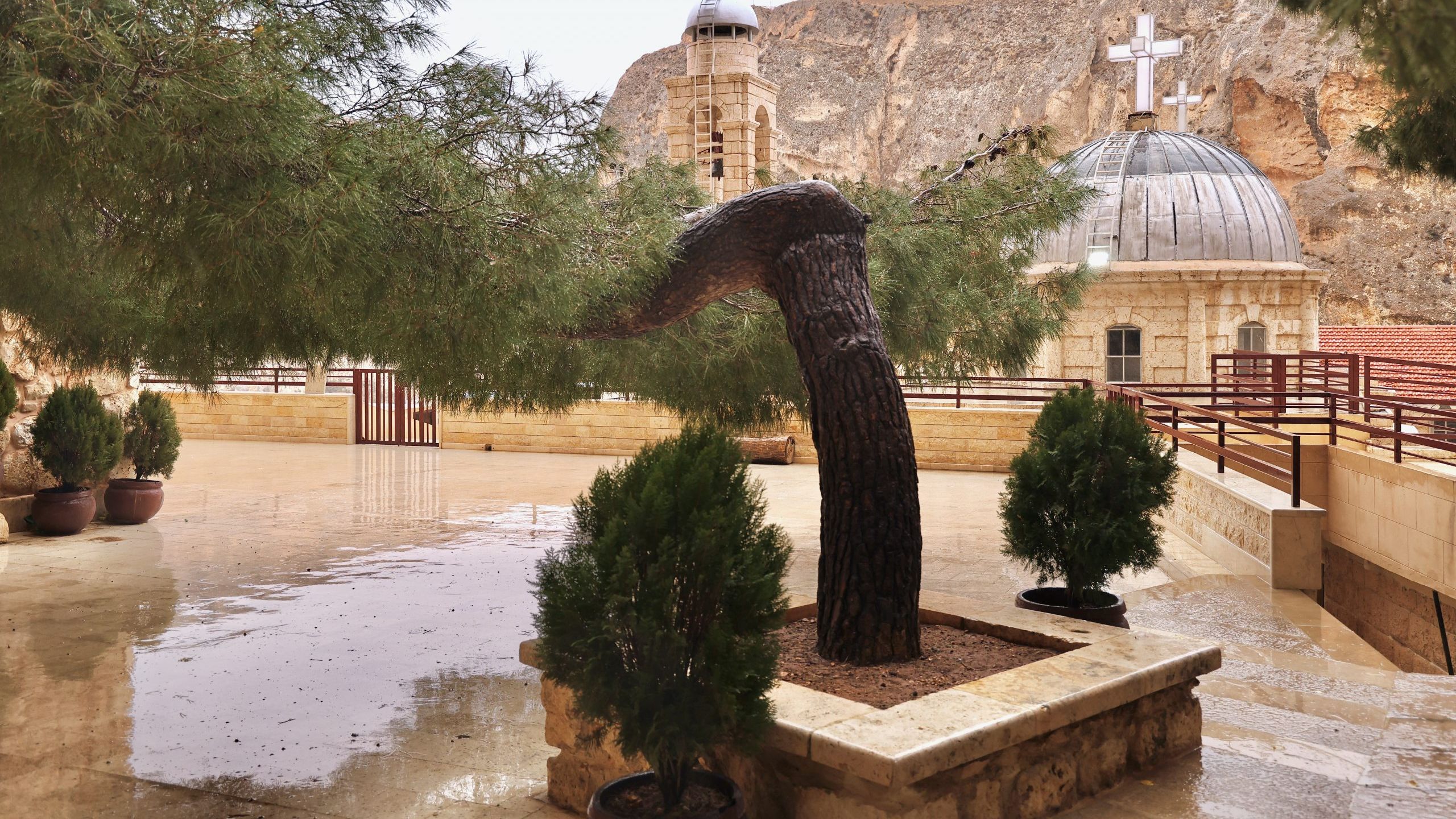 Come an See Reise Libanon/Syrien